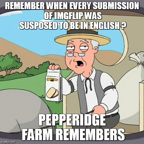 Pepperidge Farm Remembers | REMEMBER WHEN EVERY SUBMISSION OF IMGFLIP WAS SUSPOSED TO BE IN ENGLISH ? PEPPERIDGE FARM REMEMBERS | image tagged in memes,pepperidge farm remembers | made w/ Imgflip meme maker