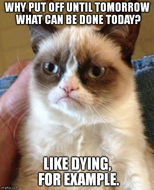 Grumpy Cat | WHY PUT OFF UNTIL TOMORROW WHAT CAN BE DONE TODAY? LIKE DYING, FOR EXAMPLE. | image tagged in memes,grumpy cat | made w/ Imgflip meme maker