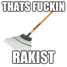 Rakist | THATS F**KIN RAKIST | image tagged in rakist | made w/ Imgflip meme maker