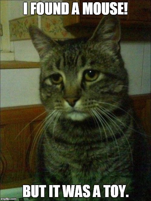 Depressed Cat Meme | I FOUND A MOUSE! BUT IT WAS A TOY. | image tagged in memes,depressed cat | made w/ Imgflip meme maker