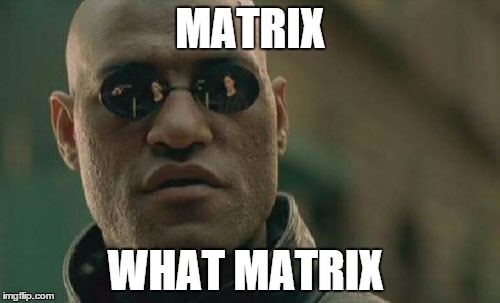 Matrix Morpheus Meme | MATRIX WHAT MATRIX | image tagged in memes,matrix morpheus | made w/ Imgflip meme maker