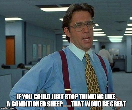 That Would Be Great Meme | IF YOU COULD JUST STOP THINKING LIKE A CONDITIONED SHEEP.......THAT WOUD BE GREAT | image tagged in memes,that would be great | made w/ Imgflip meme maker