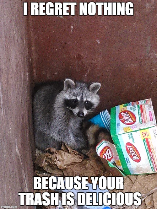 raccoon in garbage | I REGRET NOTHING BECAUSE YOUR TRASH IS DELICIOUS | image tagged in raccoon | made w/ Imgflip meme maker