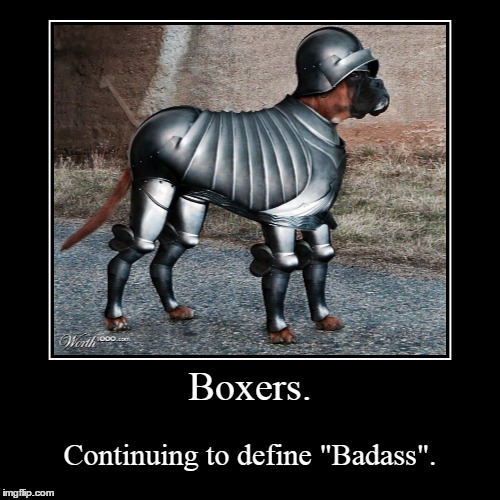 Iron Boxer | image tagged in funny,demotivationals,boxer | made w/ Imgflip demotivational maker