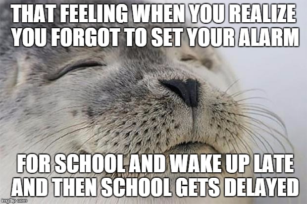 Thank god for 2 hour fog delays. | THAT FEELING WHEN YOU REALIZE YOU FORGOT TO SET YOUR ALARM FOR SCHOOL AND WAKE UP LATE AND THEN SCHOOL GETS DELAYED | image tagged in memes,satisfied seal | made w/ Imgflip meme maker