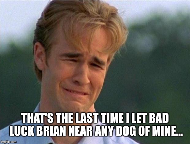 THAT'S THE LAST TIME I LET BAD LUCK BRIAN NEAR ANY DOG OF MINE... | made w/ Imgflip meme maker