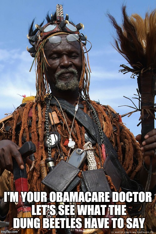 Witch Doctor | I'M YOUR OBAMACARE DOCTOR LET'S SEE WHAT THE DUNG BEETLES HAVE TO SAY | image tagged in witch doctor | made w/ Imgflip meme maker