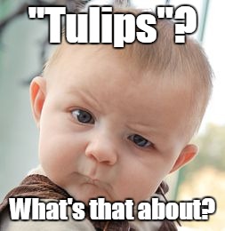 Skeptical Baby Meme | "Tulips"? What's that about? | image tagged in memes,skeptical baby | made w/ Imgflip meme maker