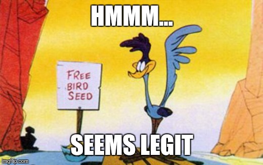HMMM... SEEMS LEGIT | image tagged in free bird seed | made w/ Imgflip meme maker