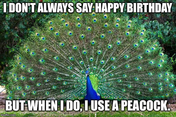 Peacock | I DON'T ALWAYS SAY HAPPY BIRTHDAY BUT WHEN I DO, I USE A PEACOCK. | image tagged in peacock | made w/ Imgflip meme maker