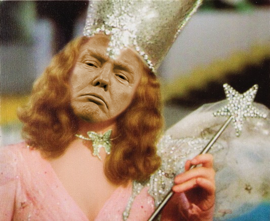 High Quality Glinda Trump Blank Meme Template