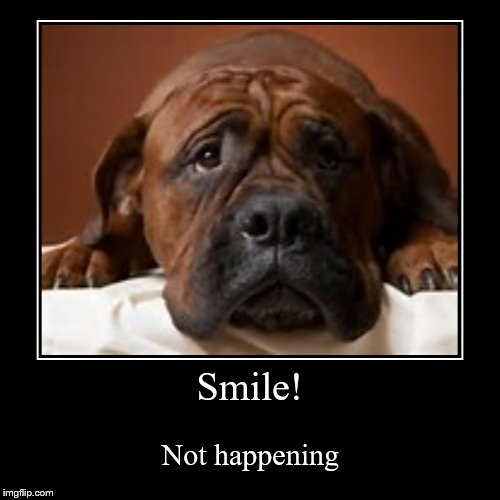 image tagged in funny,demotivationals | made w/ Imgflip demotivational maker