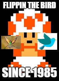 Toad the gesture master | FLIPPIN THE BIRD SINCE 1985 | image tagged in toad,super mario,bird | made w/ Imgflip meme maker