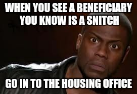 Kevin Hart Meme | WHEN YOU SEE A BENEFICIARY YOU KNOW IS A SNITCH GO IN TO THE HOUSING OFFICE | image tagged in memes,kevin hart the hell | made w/ Imgflip meme maker