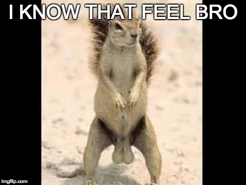 I KNOW THAT FEEL BRO | image tagged in squirrel with giant balls | made w/ Imgflip meme maker
