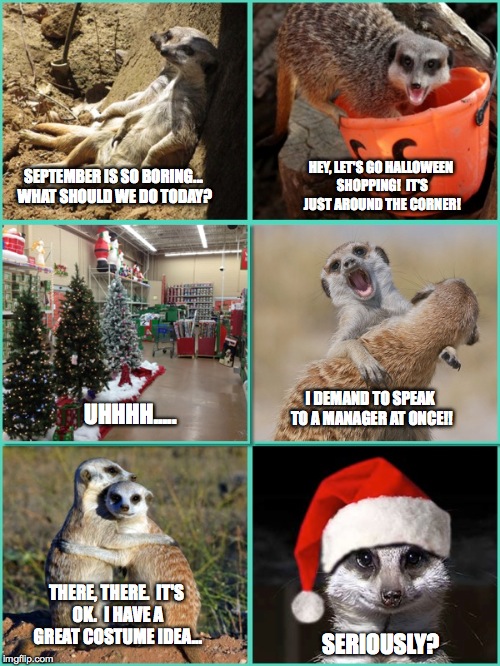 Christmas comes earlier every year... | SEPTEMBER IS SO BORING... WHAT SHOULD WE DO TODAY? THERE, THERE.  IT'S OK.  I HAVE A GREAT COSTUME IDEA... UHHHH..... HEY, LET'S GO HALLOWEE | image tagged in halloween,meerkats,funny meme,early christmas | made w/ Imgflip meme maker