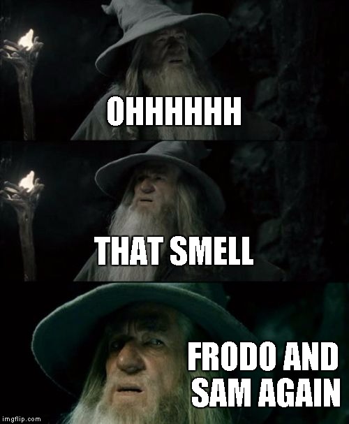 Confused Gandalf | OHHHHHH THAT SMELL FRODO AND SAM AGAIN | image tagged in memes,confused gandalf | made w/ Imgflip meme maker
