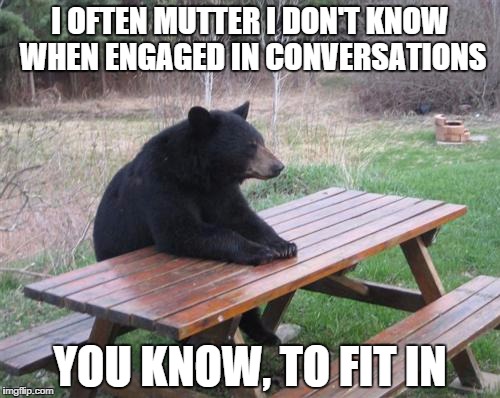 Bad Luck Bear | I OFTEN MUTTER I DON'T KNOW WHEN ENGAGED IN CONVERSATIONS YOU KNOW, TO FIT IN | image tagged in memes,bad luck bear | made w/ Imgflip meme maker