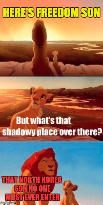 Simba Shadowy Place | HERE'S FREEDOM SON THAT NORTH KOREA SON NO ONE MUST EVER ENTER | image tagged in memes,simba shadowy place | made w/ Imgflip meme maker