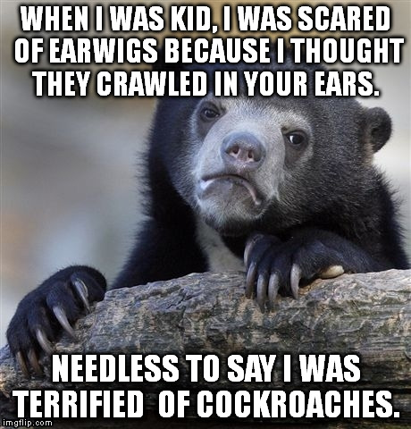 Confession Bear | WHEN I WAS KID, I WAS SCARED OF EARWIGS BECAUSE I THOUGHT THEY CRAWLED IN YOUR EARS. NEEDLESS TO SAY I WAS TERRIFIED  OF COCKROACHES. | image tagged in memes,confession bear | made w/ Imgflip meme maker