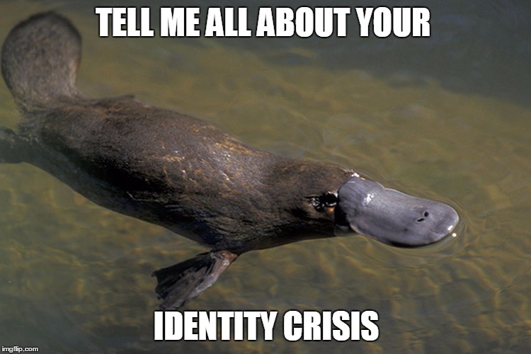 Identity Crisis | TELL ME ALL ABOUT YOUR IDENTITY CRISIS | image tagged in identity crisis | made w/ Imgflip meme maker