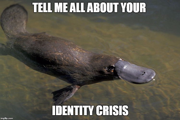 Identity Crisis Imgflip