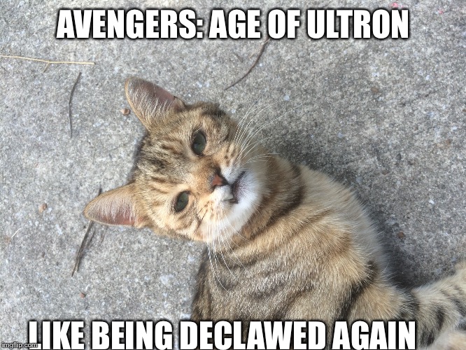 AVENGERS: AGE OF ULTRON LIKE BEING DECLAWED AGAIN | image tagged in movies,review | made w/ Imgflip meme maker
