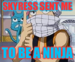 Skyress sent me to be a ninja | SKYRESS SENT ME TO BE A NINJA | image tagged in anime | made w/ Imgflip meme maker