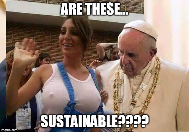 ARE THESE... SUSTAINABLE???? | image tagged in pope | made w/ Imgflip meme maker