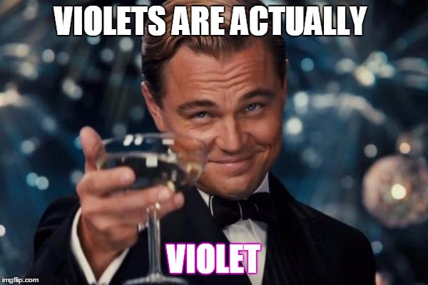 Leonardo Dicaprio Cheers | VIOLETS ARE ACTUALLY VIOLET | image tagged in memes,leonardo dicaprio cheers | made w/ Imgflip meme maker