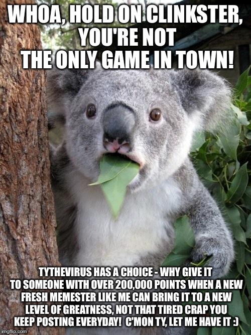 Koala surprised | WHOA, HOLD ON CLINKSTER, YOU'RE NOT THE ONLY GAME IN TOWN! TYTHEVIRUS HAS A CHOICE - WHY GIVE IT TO SOMEONE WITH OVER 200,000 POINTS WHEN A  | image tagged in koala surprised | made w/ Imgflip meme maker