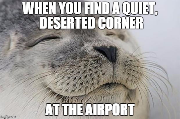 Satisfied Seal Meme | WHEN YOU FIND A QUIET, DESERTED CORNER AT THE AIRPORT | image tagged in memes,satisfied seal,AdviceAnimals | made w/ Imgflip meme maker