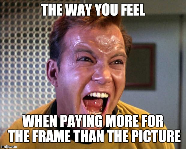 Captain Kirk Screaming | THE WAY YOU FEEL WHEN PAYING MORE FOR THE FRAME THAN THE PICTURE | image tagged in captain kirk screaming | made w/ Imgflip meme maker