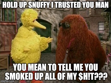 Big Bird And Snuffy | HOLD UP SNUFFY I TRUSTED YOU MAN YOU MEAN TO TELL ME YOU SMOKED UP ALL OF MY $H!T??? | image tagged in memes,big bird and snuffy | made w/ Imgflip meme maker