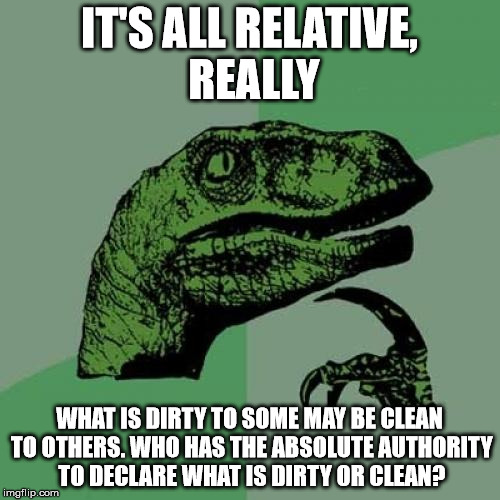 Philosoraptor Meme | IT'S ALL RELATIVE, REALLY WHAT IS DIRTY TO SOME MAY BE CLEAN TO OTHERS. WHO HAS THE ABSOLUTE AUTHORITY TO DECLARE WHAT IS DIRTY OR CLEAN? | image tagged in memes,philosoraptor | made w/ Imgflip meme maker