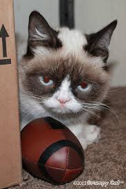 Grumpy Cat Football Blank Meme Template