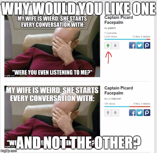 WHY WOULD YOU LIKE ONE AND NOT THE OTHER? | image tagged in repost's | made w/ Imgflip meme maker