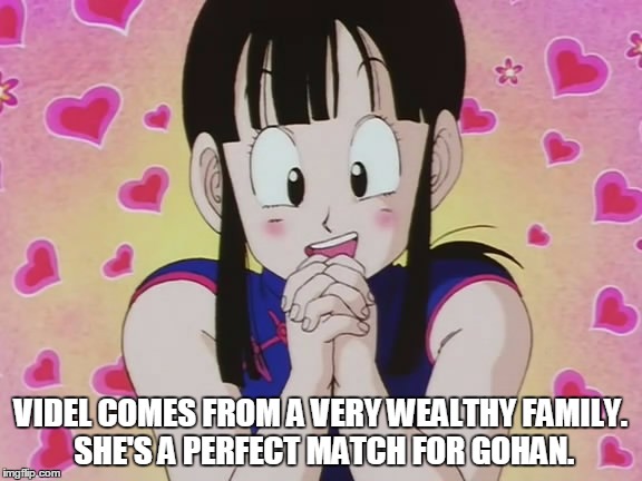 VIDEL COMES FROM A VERY WEALTHY FAMILY. SHE'S A PERFECT MATCH FOR GOHAN. | image tagged in funny | made w/ Imgflip meme maker