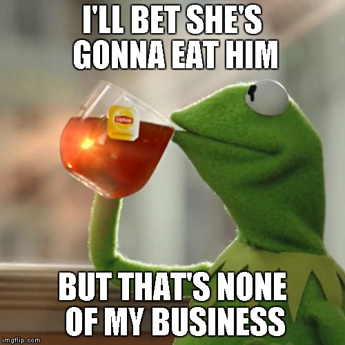 But That's None Of My Business Meme | I'LL BET SHE'S GONNA EAT HIM BUT THAT'S NONE OF MY BUSINESS | image tagged in memes,but thats none of my business,kermit the frog | made w/ Imgflip meme maker