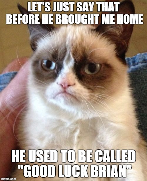 Good Luck Brian | LET'S JUST SAY THAT BEFORE HE BROUGHT ME HOME HE USED TO BE CALLED "GOOD LUCK BRIAN" | image tagged in memes,grumpy cat,good luck brian,bad luck brian | made w/ Imgflip meme maker