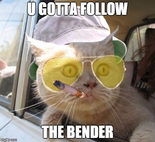 Fear And Loathing Cat Meme | U GOTTA FOLLOW THE BENDER | image tagged in memes,fear and loathing cat | made w/ Imgflip meme maker