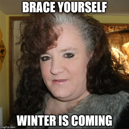 BRACE YOURSELF WINTER IS COMING | image tagged in winter is coming | made w/ Imgflip meme maker