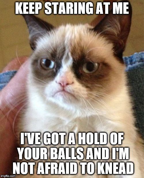Grumpy Cat | KEEP STARING AT ME I'VE GOT A HOLD OF YOUR BALLS AND I'M NOT AFRAID TO KNEAD | image tagged in memes,grumpy cat | made w/ Imgflip meme maker