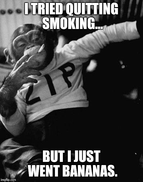 smoking monkey  | I TRIED QUITTING SMOKING... BUT I JUST WENT BANANAS. | image tagged in smoking monkey  | made w/ Imgflip meme maker