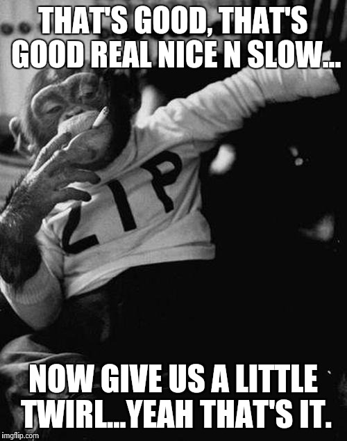 smoking monkey  | THAT'S GOOD, THAT'S GOOD REAL NICE N SLOW... NOW GIVE US A LITTLE TWIRL...YEAH THAT'S IT. | image tagged in smoking monkey  | made w/ Imgflip meme maker