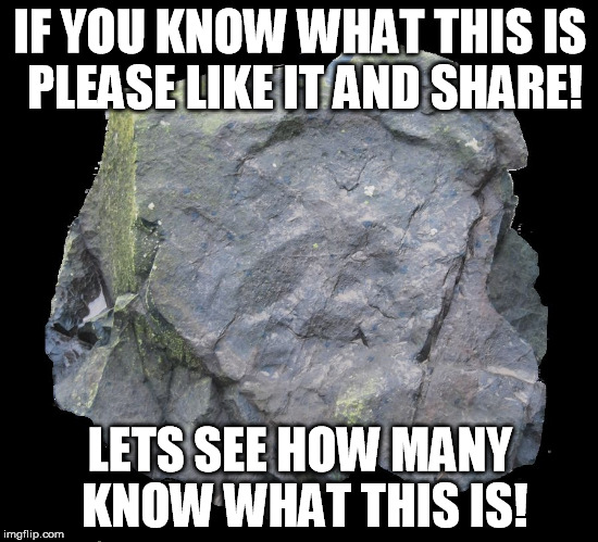 IF YOU KNOW WHAT THIS IS PLEASE LIKE IT AND SHARE! LETS SEE HOW MANY KNOW WHAT THIS IS! | image tagged in rock,mildlyinfuriating | made w/ Imgflip meme maker