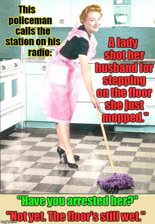 House Work is Murder | This       policeman      calls the   station on his          radio: "Have you arrested her?" "Not yet. The floor's still wet." A lady shot  | image tagged in police,housework,mopping,vince vance,lady shoots husband,police arrest housewife | made w/ Imgflip meme maker