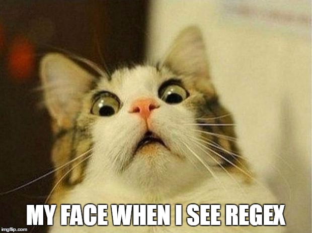 Scared Cat Meme | MY FACE WHEN I SEE REGEX | image tagged in memes,scared cat | made w/ Imgflip meme maker