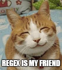 Happy cat | REGEX IS MY FRIEND | image tagged in happy cat | made w/ Imgflip meme maker
