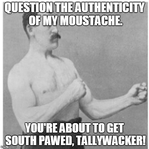 Overly Manly Man Meme | QUESTION THE AUTHENTICITY OF MY MOUSTACHE. YOU'RE ABOUT TO GET SOUTH PAWED, TALLYWACKER! | image tagged in memes,overly manly man | made w/ Imgflip meme maker